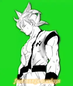 manga overlays