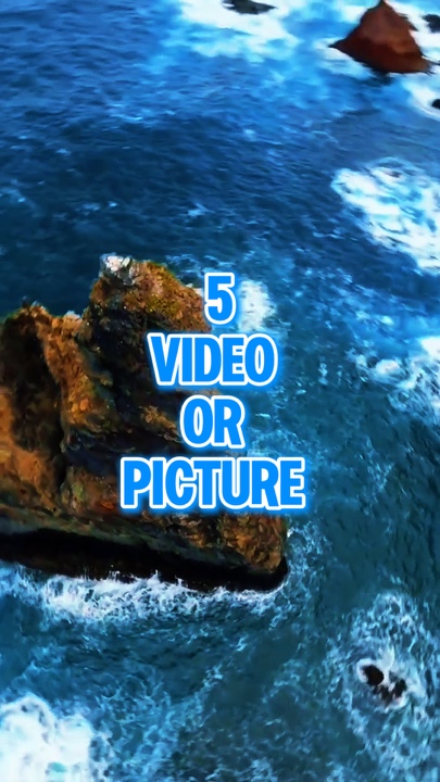 5 video treding 