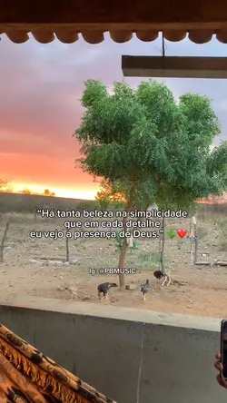 Status de hoje 🌵❤️🙏🏼