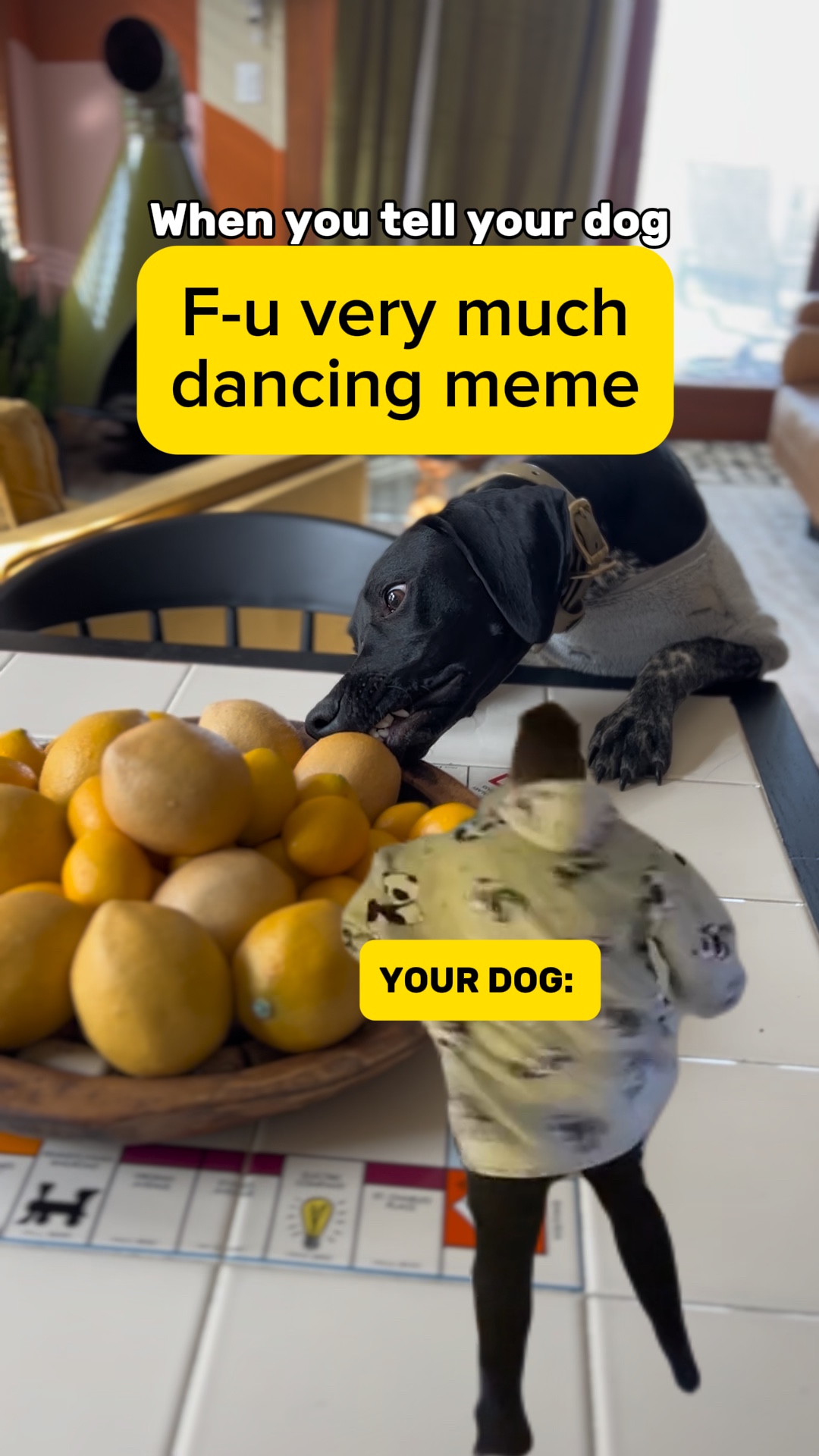 YetkiliSwaggie Meme