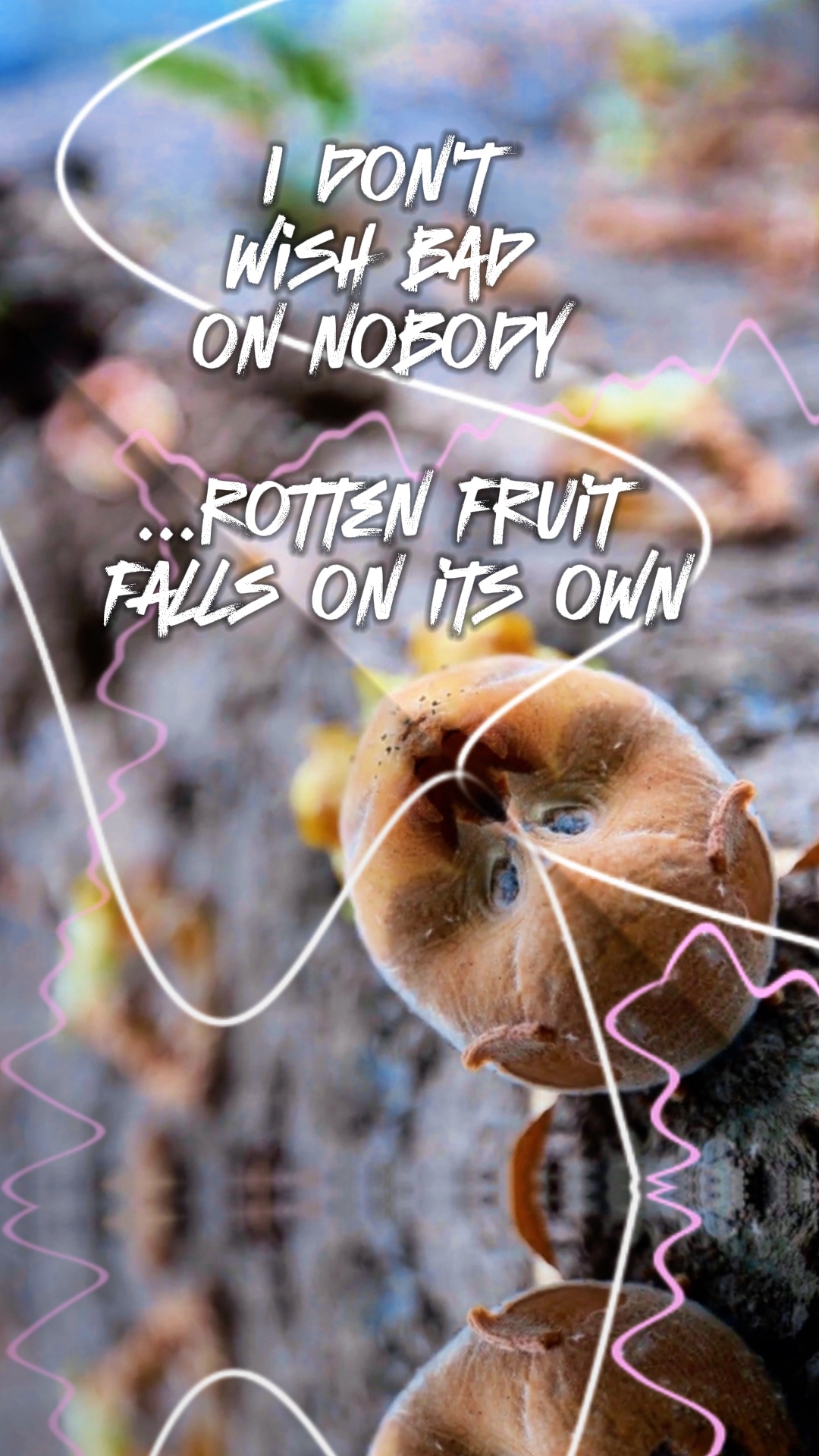 Fruit