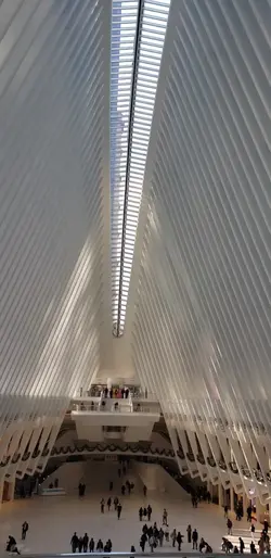 Oculus 