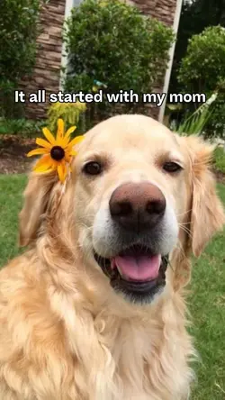 New pet trend