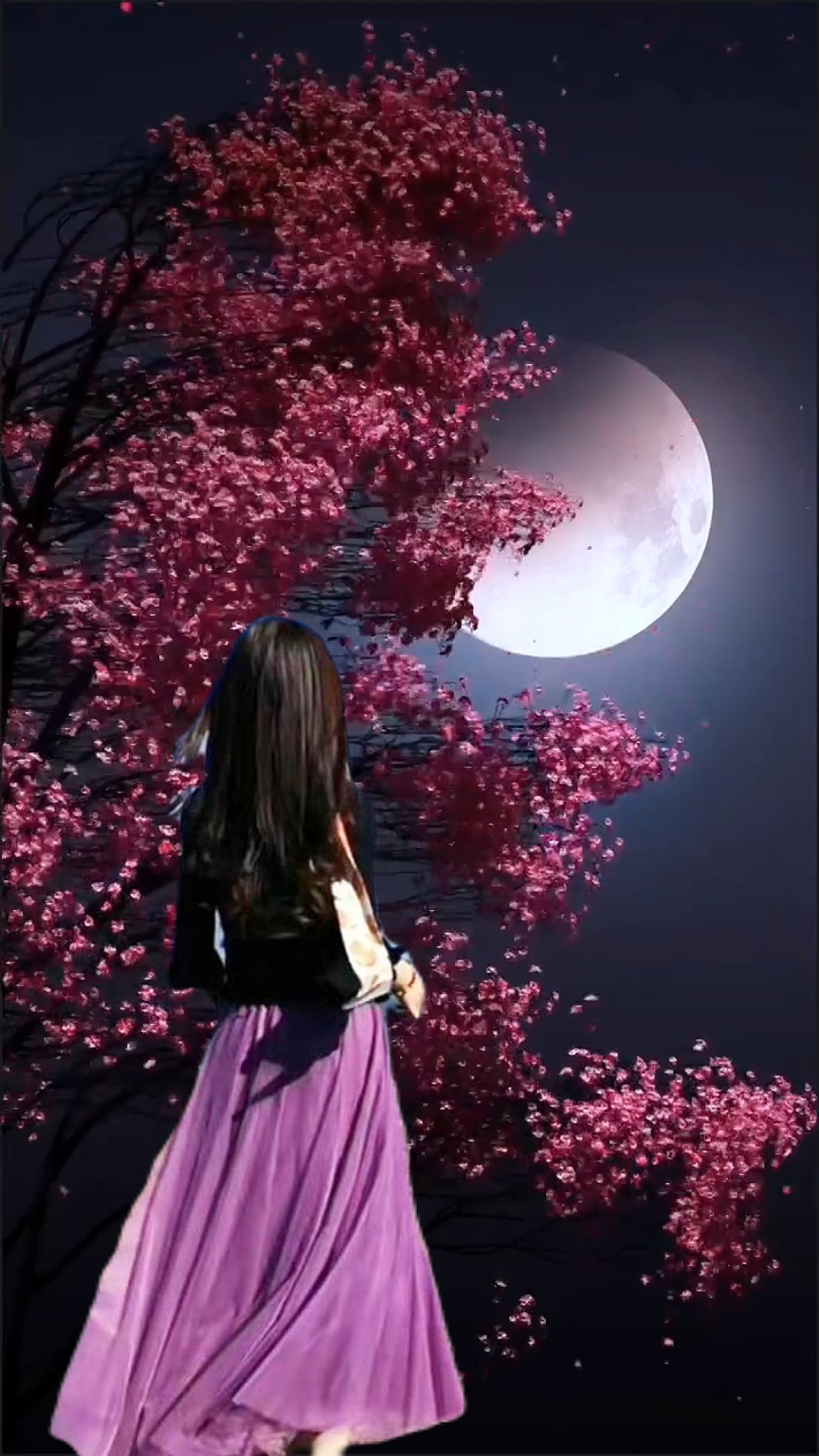Scène de nuit