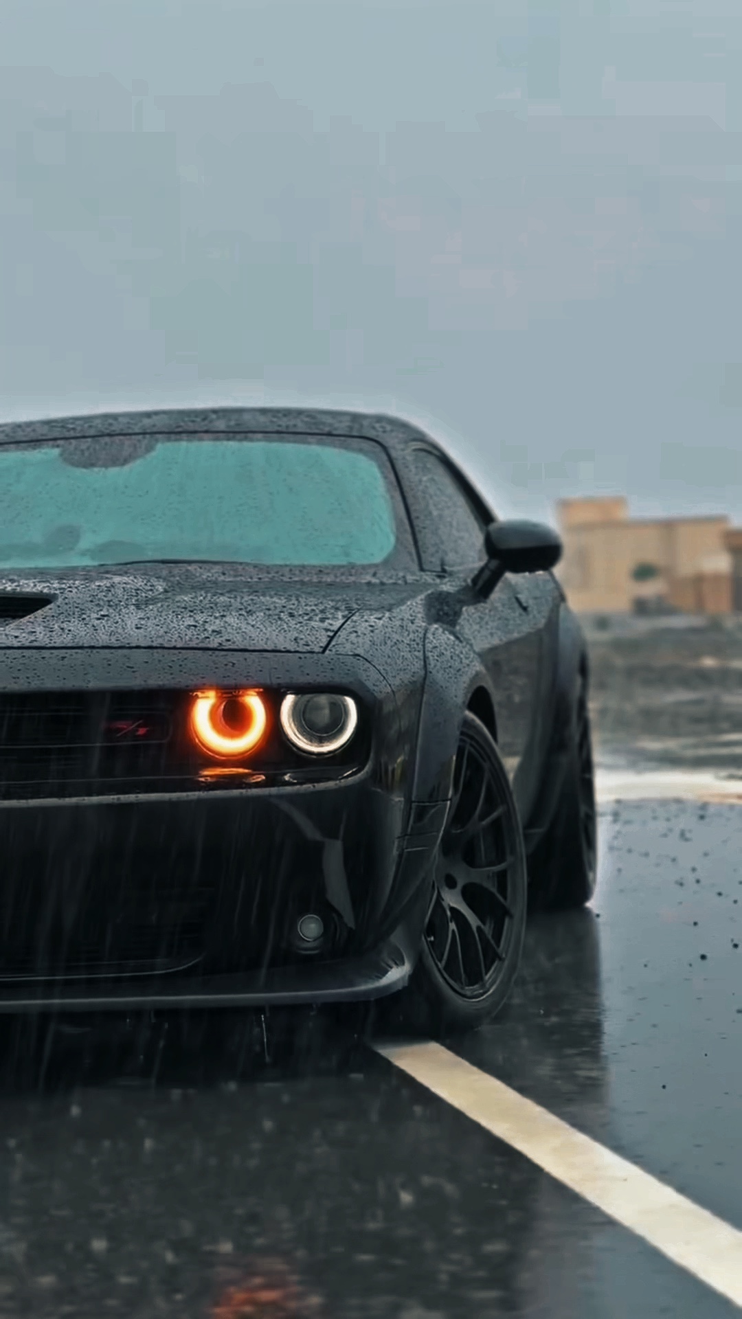 5 ★>><< CAR