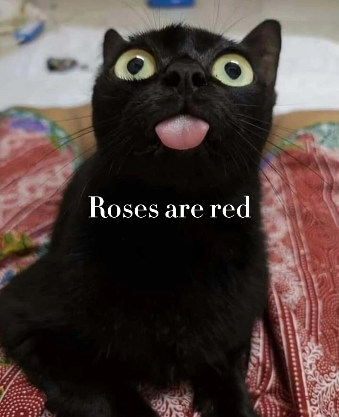 hehe