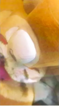 Kinger plush