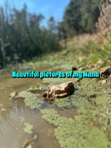 Beautiful pics