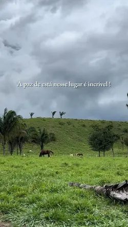 Agropecuária 
