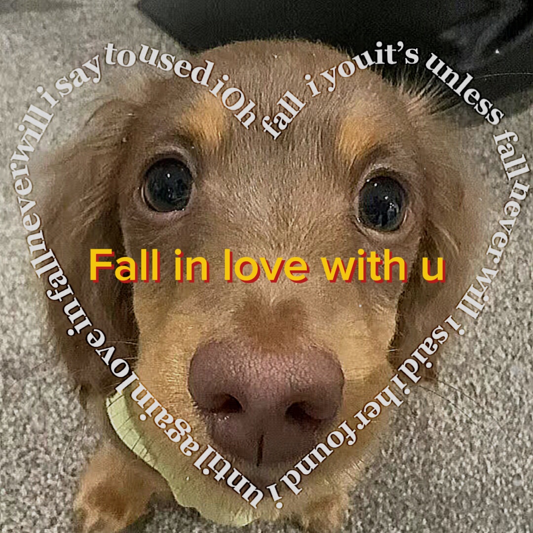 Fall in love with u