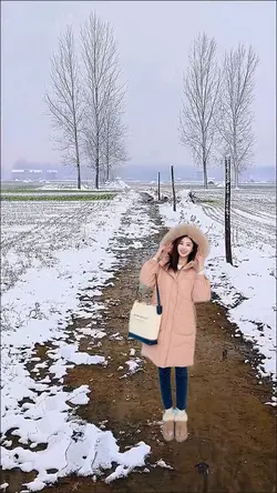 Snowscape