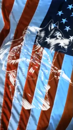 Independence Day2
