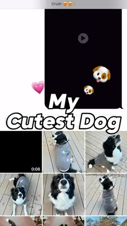 My cutest dog πΆ