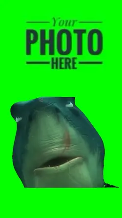 Ouhh Shark Nemo