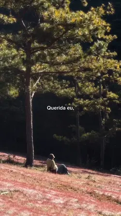 Querida eu