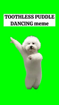 PUDDLE DANCING meme