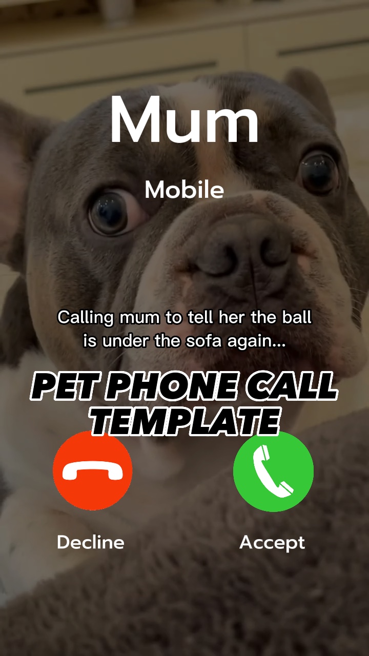 Appel téléphonique pour chien