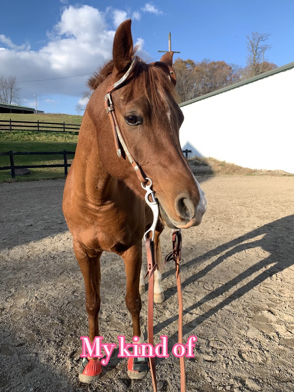 My kind of love 💕 