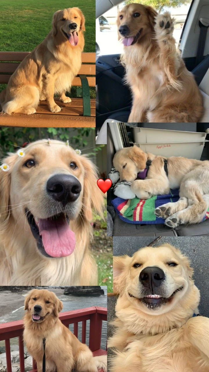 FOFO E FOFO ❤️