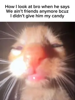Meme
