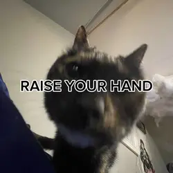 Raise your hand