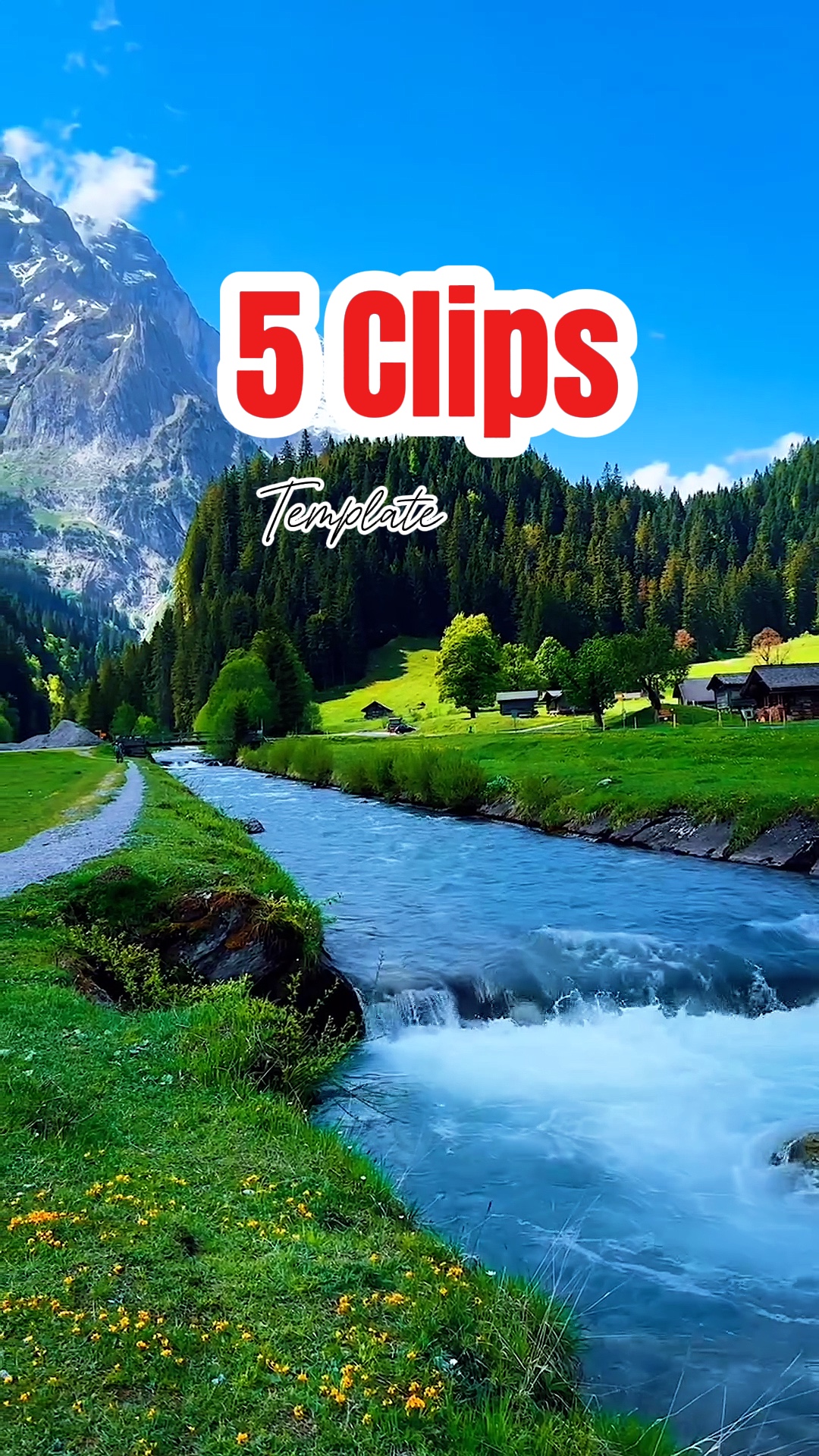 5 clips