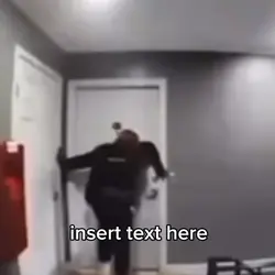 insert text here