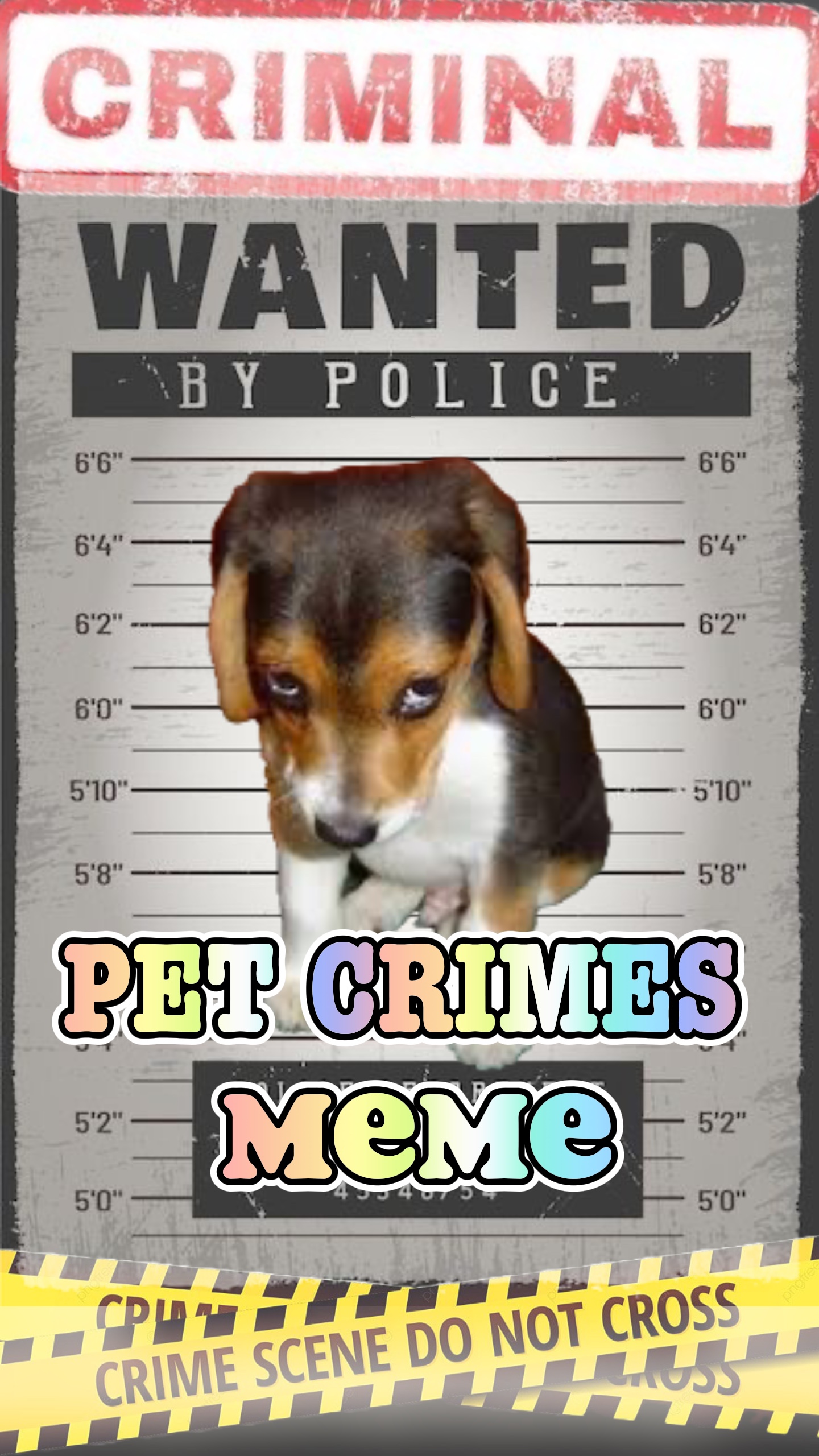 Meme de crimes com animais de estimação 