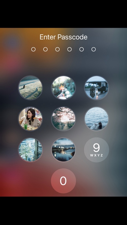 Photo collection