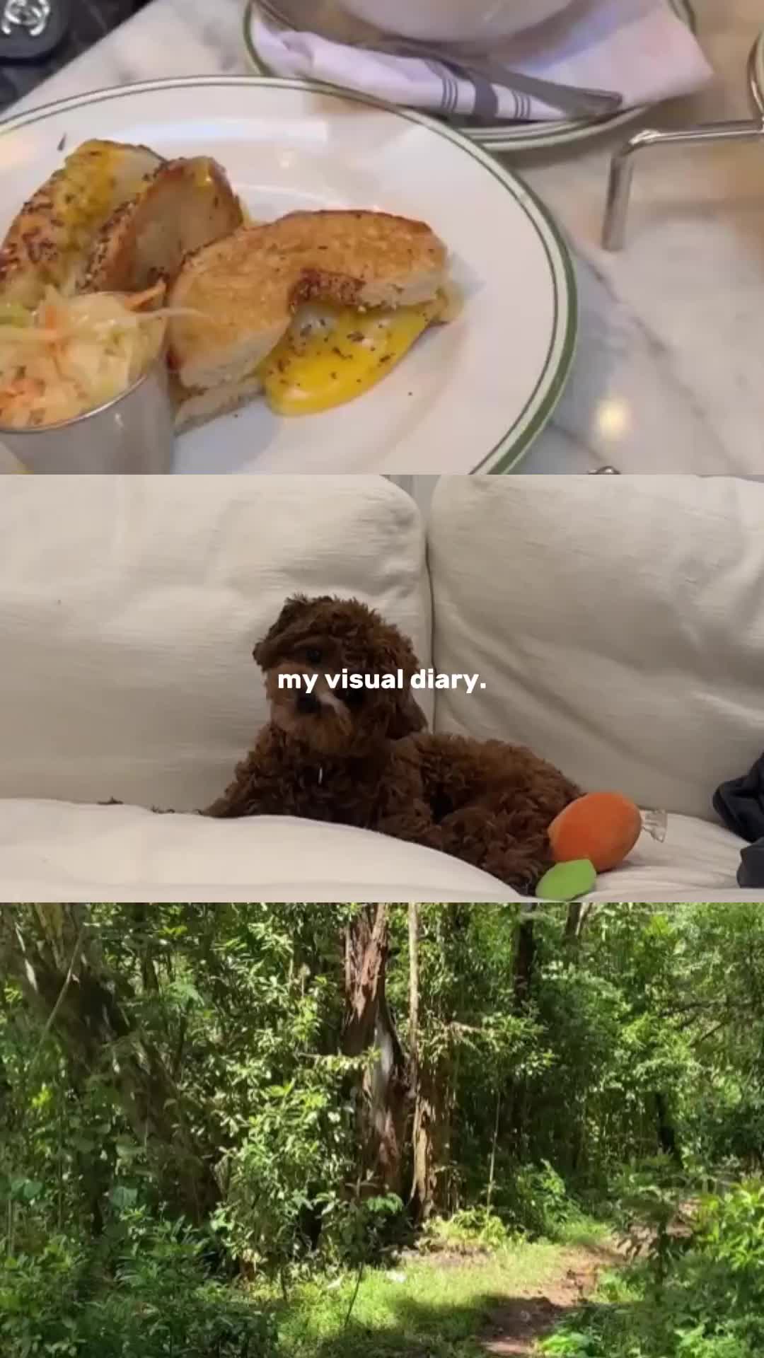  my digital diary 