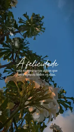 Felicidade 