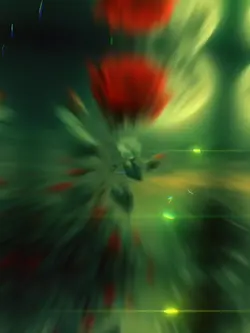 #beautifulflowers