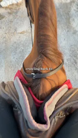 crawling back to