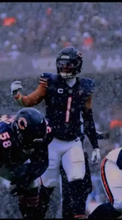 Bears on Top