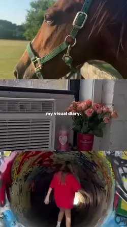 my digital diary