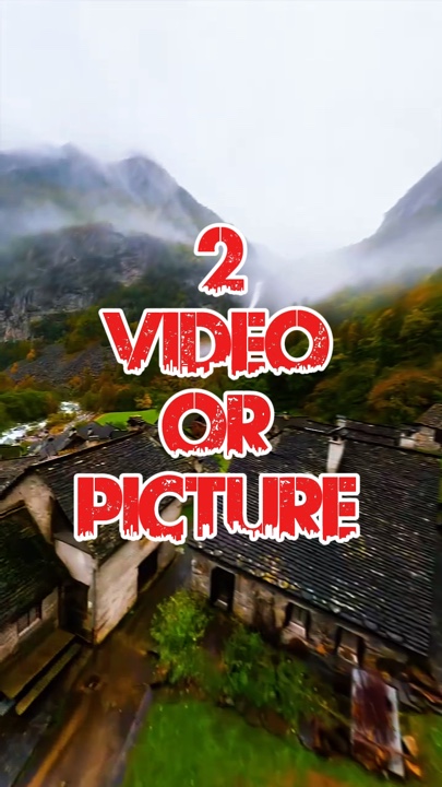 2 video or picture 