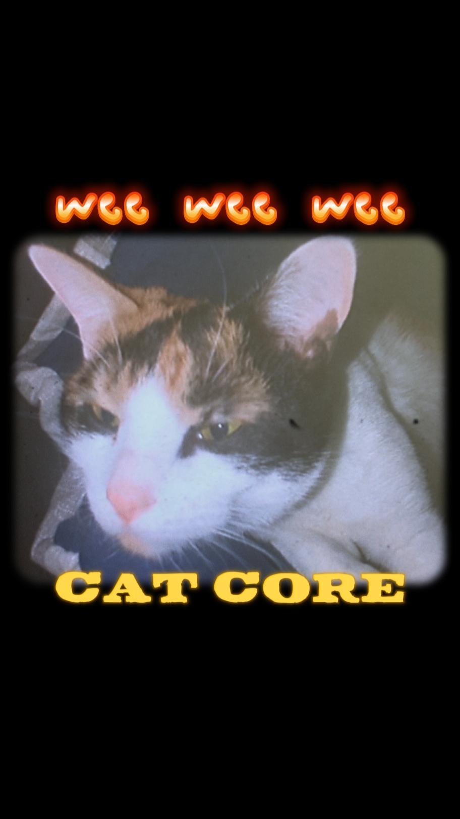 Núcleo De Gato