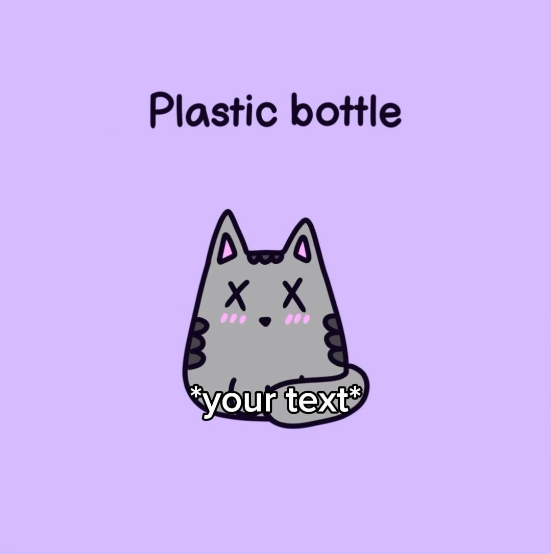 Gato bobo