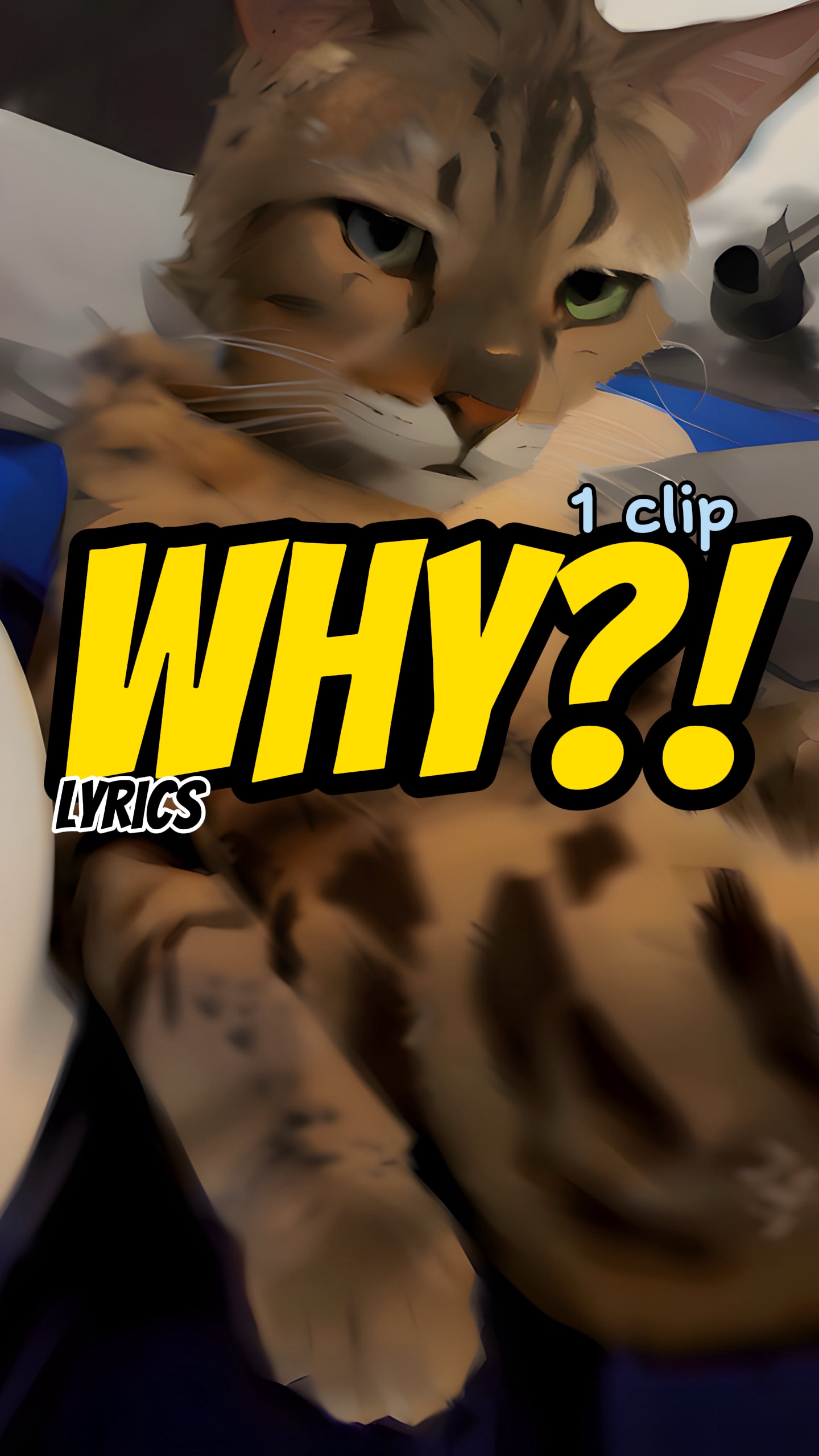 Why? 🤷‍♂️😒😤🙄
