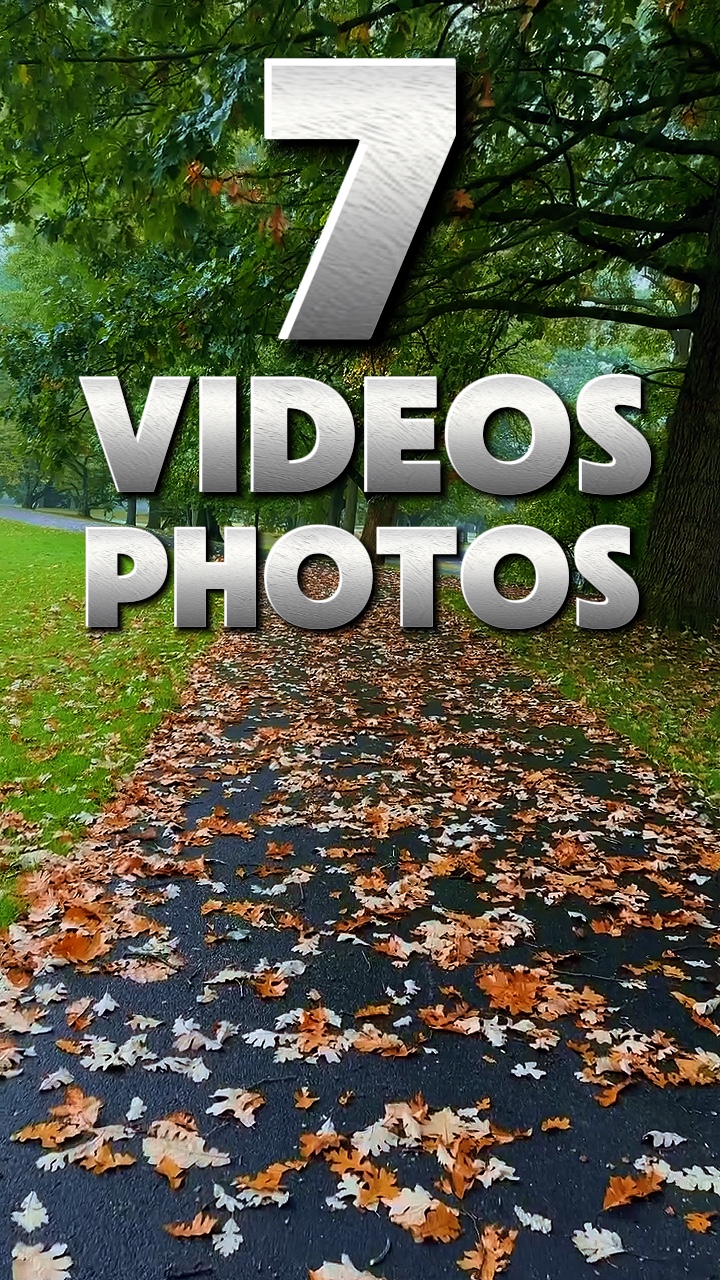 7 videos / fotos