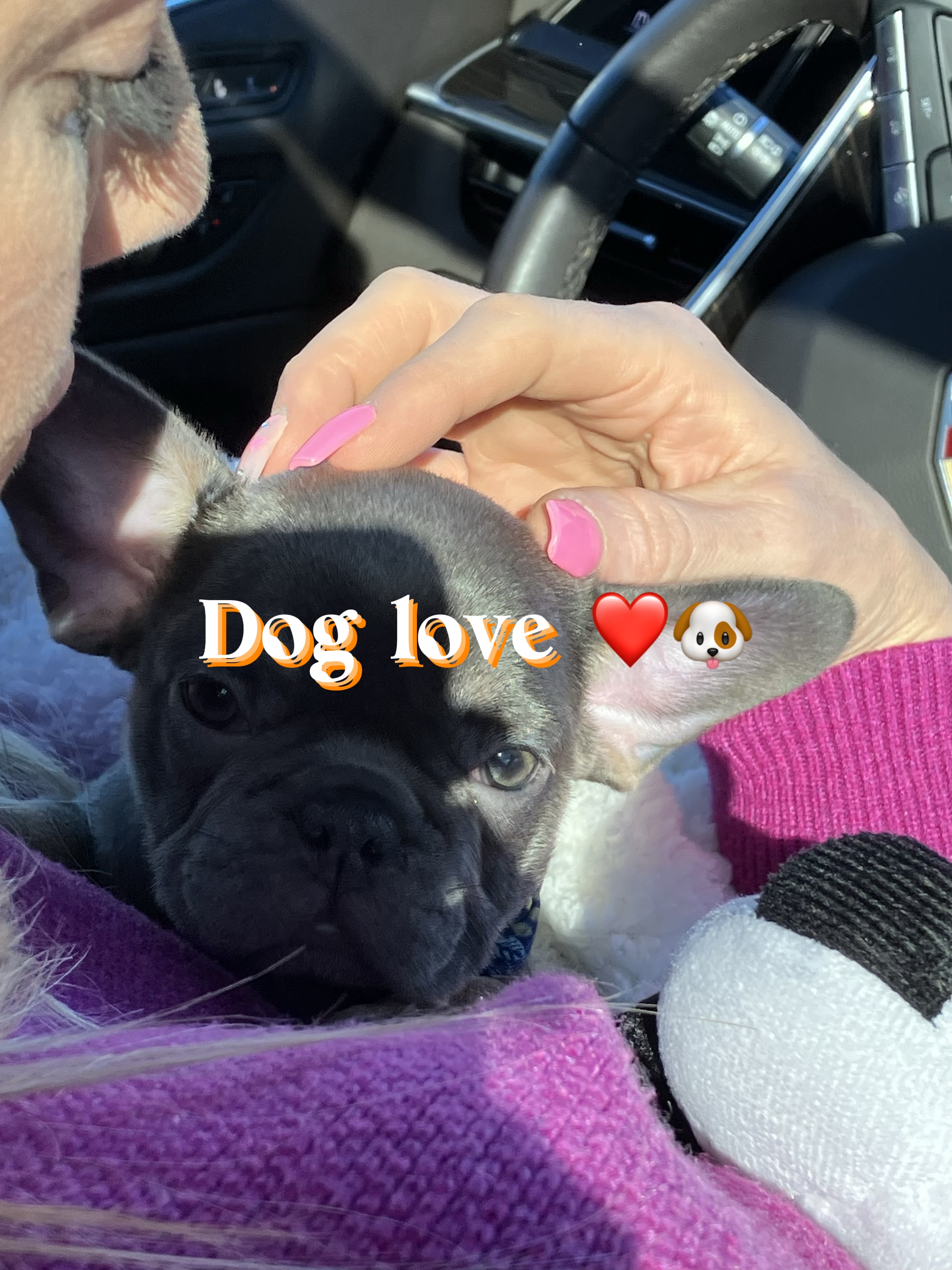 Dog love❤️🐶