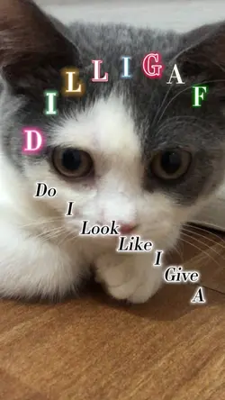 My new life slogan