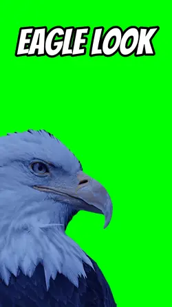 Eagle Look