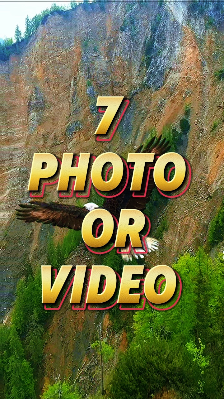 7 Photo Vidéo