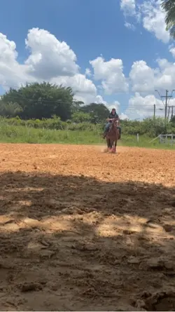 Câmera lenta