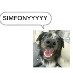 SIMFONYYY‼️