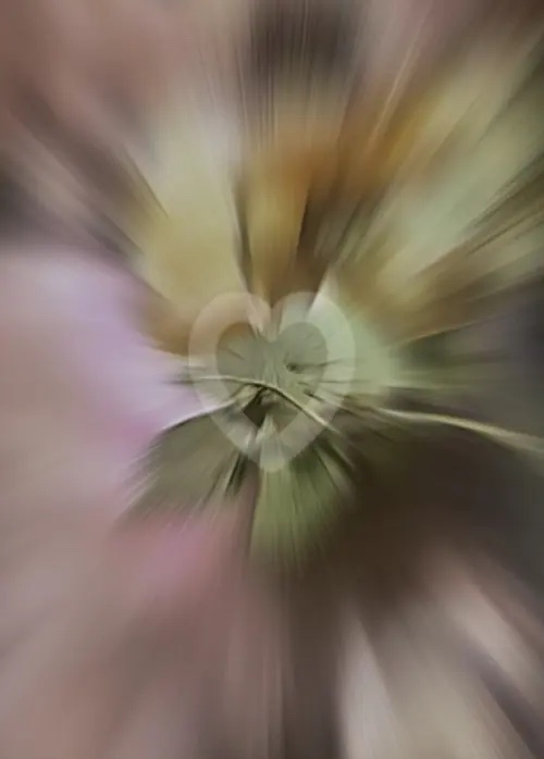 ♡ Sevimli köpek Düzenleme