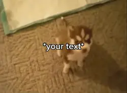 Speak meme