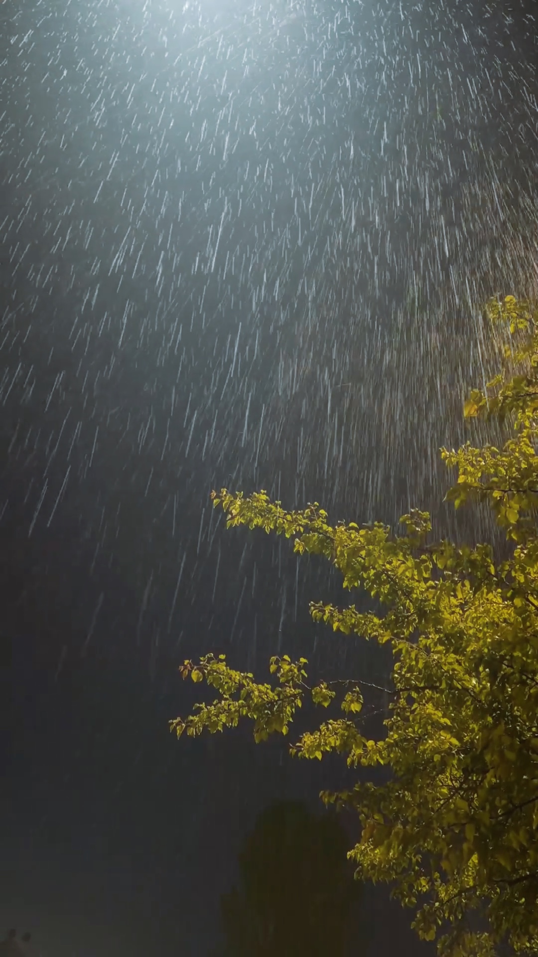 Ein-Klick-Regen