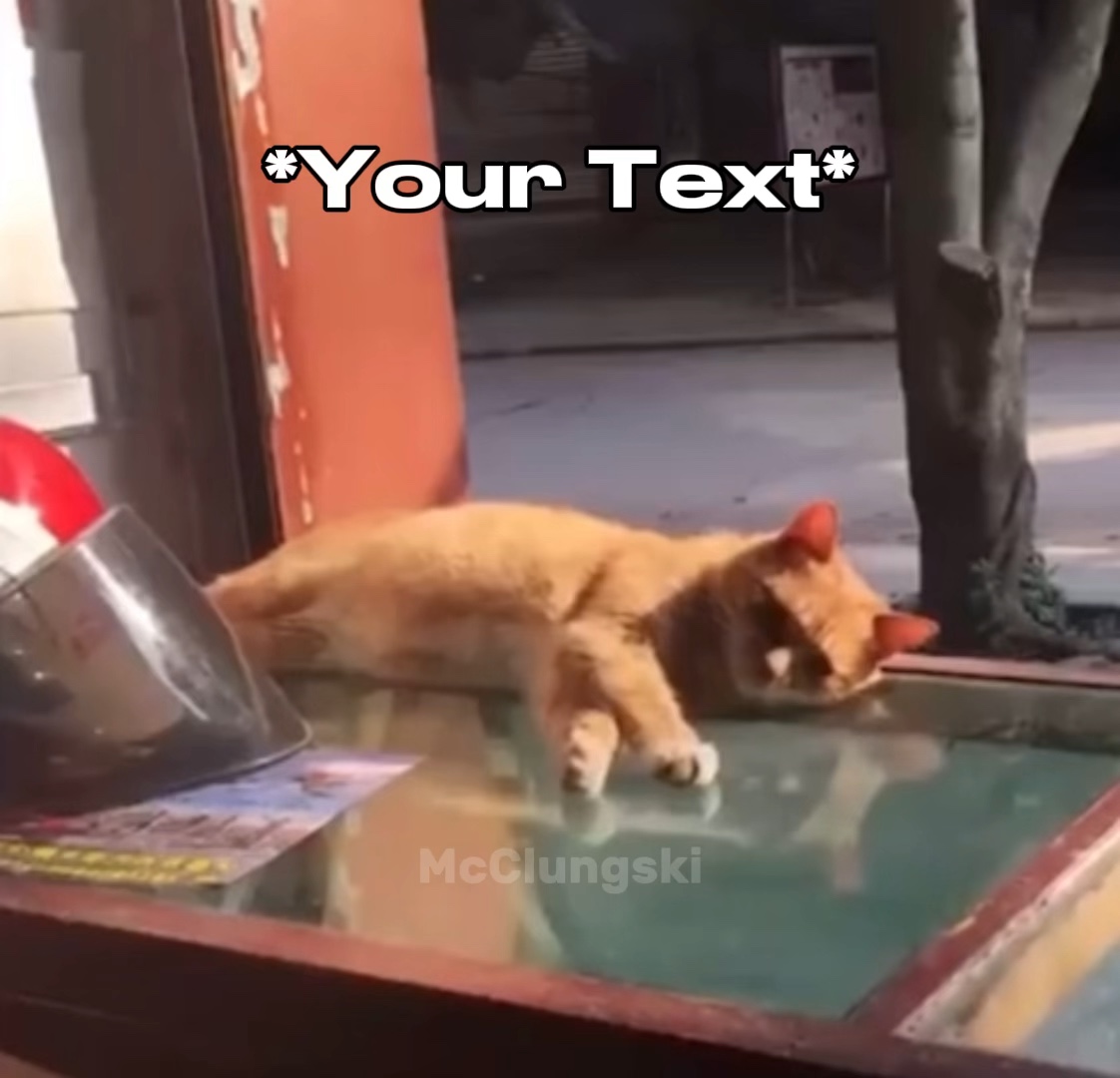 Düşen Kedi Meme